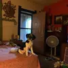 Sandy Dodson - @sandy.dodson5 - TikTok