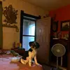 Sandydodson - @tiktok.comsandydodson - TikTok