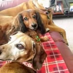 Sandra Donahue - @sandrajeandonahue - Instagram