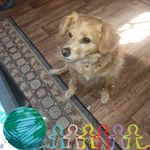 Sandy Donaldson Slatton - @slattonsandy - Instagram