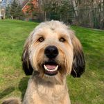 Sandy Donaldson Wrobel - @sandy_guenther - Instagram