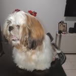 Sandy Dooley - @sandeemik - Instagram