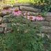 Sandy Dowling - Facebook