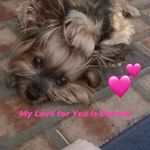 Sandy Dowling - @sunshinesandybeach - Instagram