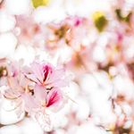 Sandy - @sandyandriessen - Instagram