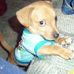 Sandy Drury - Facebook