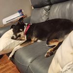 Sandy Drury Boardman - @sandyboa - Instagram