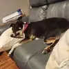 Sandy Drury Boardman - @sandy.drury.board - TikTok
