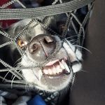Sandy DuBois - @srdubois9 - Instagram
