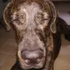 Sandy Dubois - @sandy.dubois5 - TikTok