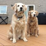 Snoop65 - @sandy.ducharme - Instagram