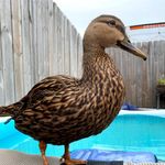 Sandy - @sandyduckington - Instagram
