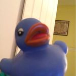 Sandy the Duck - @sandy_theduck - Instagram