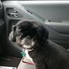 sandysduck - @sandysduck - TikTok