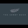 TheSandyDuck - @thesandyduck - TikTok