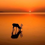 Sandy Dugger - @sandyd2023fs - Instagram