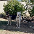 Sandy Duke - Facebook