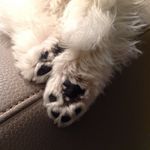 sandy - @sandydullers - Instagram