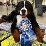 Sandy Dunaway - @sandy.dunaway - Instagram