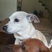 Sandy Dungan - Facebook