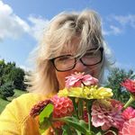 Sandy Dunham - @findsfromthefarm - Instagram