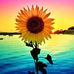 Sandy Dunlap - Facebook
