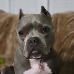 Sandy Sanders Dutton - @sandydutton64 - Instagram