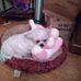 Sandy Duvall - Facebook