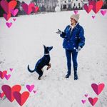 Sandy Dye - @sandravdye - Instagram