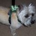 Sandy Eads - Facebook