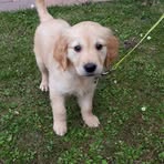 Sandy Eakins - Facebook