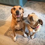 Sandy & Earl - @sandy_earl_undaunted - Instagram