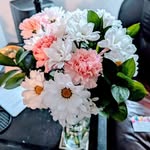 Sandy Earl - @sandy.earl - Instagram