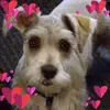 sandyearlenejennings - @sandyearlenejennings - TikTok
