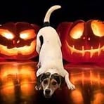 Sandy Earley Raymond - Facebook