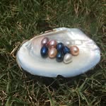 Sandy Pearls Studio - @sandypearlsstudio - Instagram