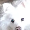 sandysearls287 - @sandysearls287 - TikTok