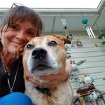 sandy eastwood - @sandyeastwood61 - Instagram