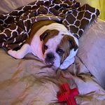 Sandy - @sandyeaston52 - Instagram