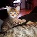 Sandy Echols - Facebook