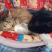 Sandy Ecker - Facebook