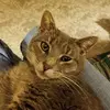 Sandy Niklaus Eck - @user47787034 - TikTok