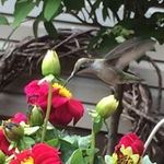 Sandy Berasi Eckert - @sandyberasi - Instagram