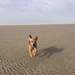 Sandy Eckert - @dieeggert - Instagram