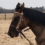 Sandy Eckert - @sje1230 - Instagram