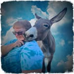 Sandy Edgar - @sandyedgar5848 - Instagram