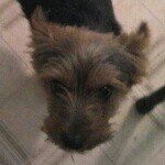 Sandy Edmond Spruell - @sandy.edmondspruell - Instagram