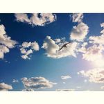 Sandy Egan - @sandy.egan.12 - Instagram