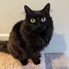 OhAuntie! - @sandy.egan - TikTok