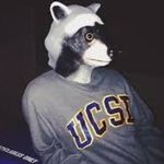 Sandy Eggo - @ucsdmeme - Instagram